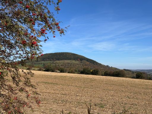 Blick auf den Pöhberg
